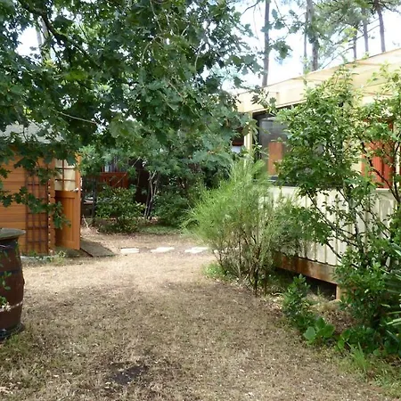 Soulacais Avec Piscine *